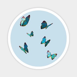 butterflies blue Magnet